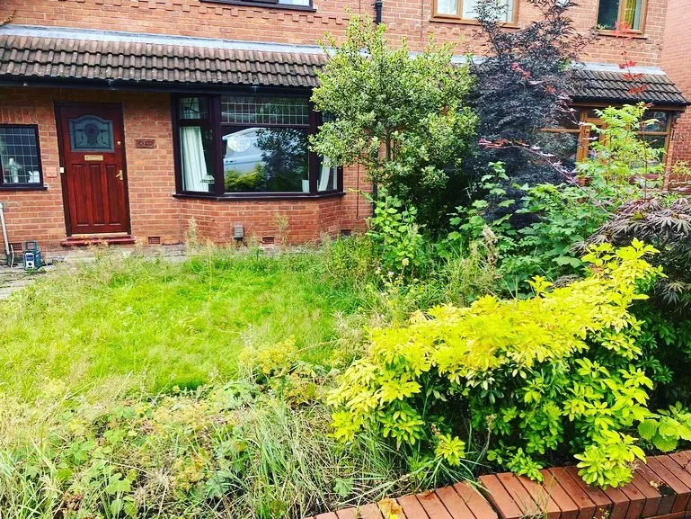 Before landscaping project